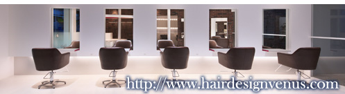 http://www.hairdesignvenus.com